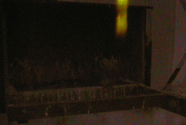 2009-11-21_104132.jpg