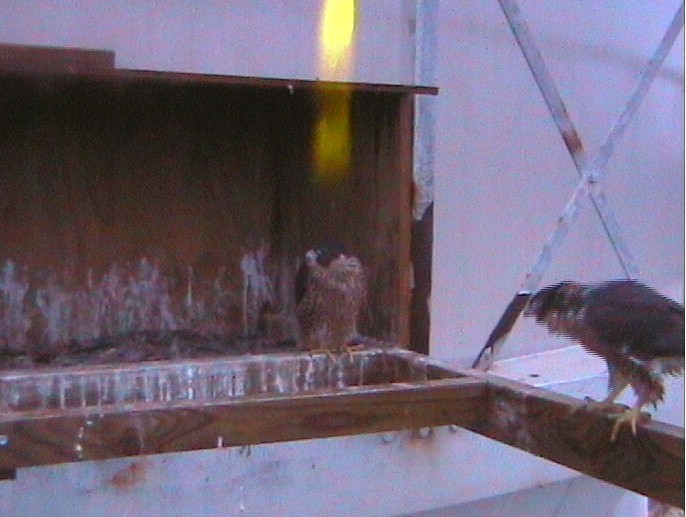 2009-11-21_195939.jpg