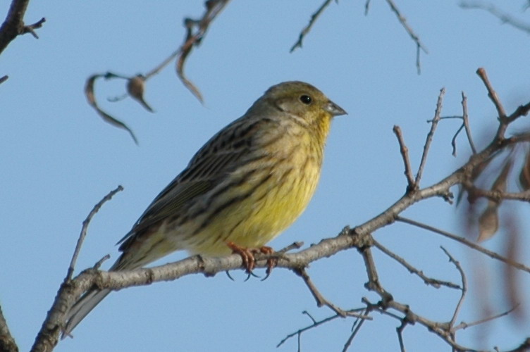 DSC_7401.jpg