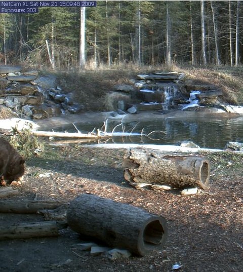 2009-11-21_220717.jpg