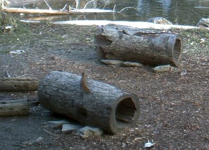 2009-11-21_222631.jpg