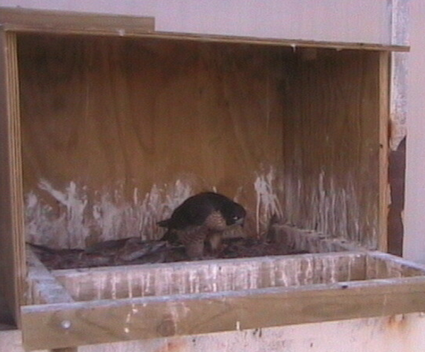 2009-11-22_070407.png