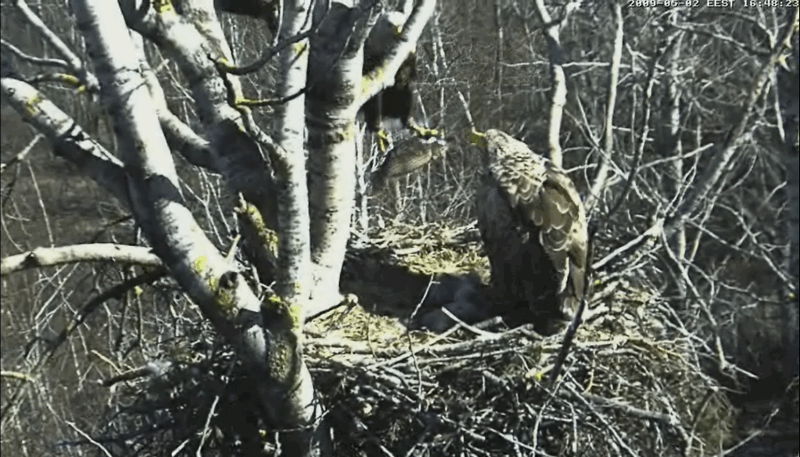 2009-05-02_205325.gif