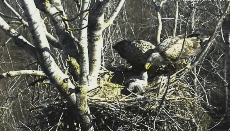 2009-05-02_213911.gif
