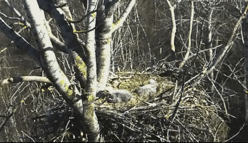 2009-05-02_214434.gif
