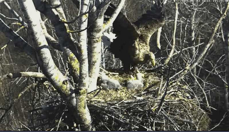 2009-05-02_214717.gif
