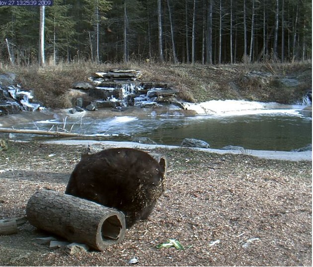 2009-11-27_202330.jpg