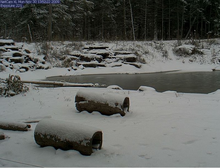 2009-11-30_204955.jpg