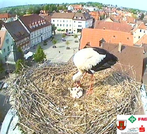 höchstadt1.jpg