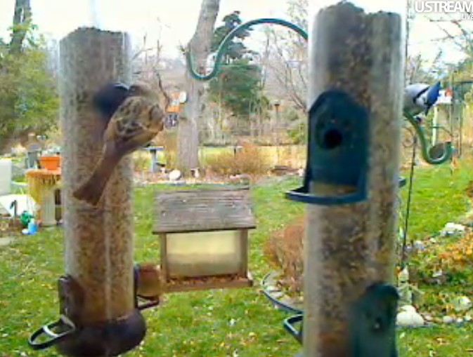 2009-12-06_155319.jpg