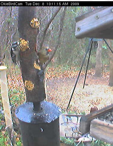 2009-12-08_171256.jpg