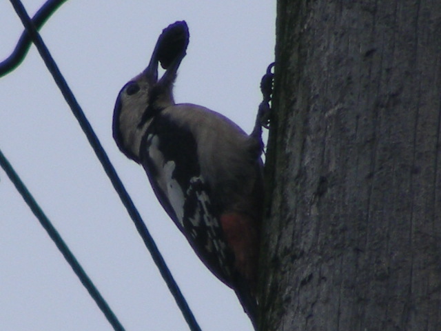 DSCF8321.JPG