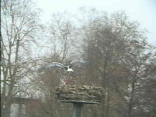 2009-12-14_191006.jpg