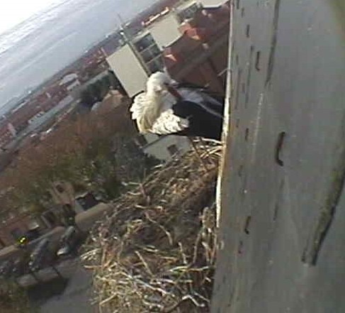 2009-12-18_103052.jpg