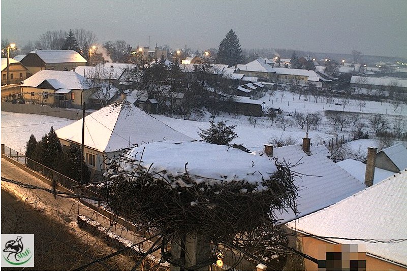 2009-12-18_161116.jpg