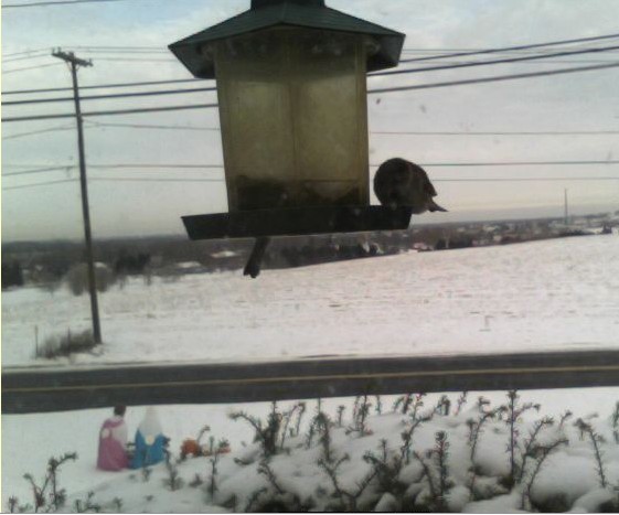 2009-12-18_152130.jpg