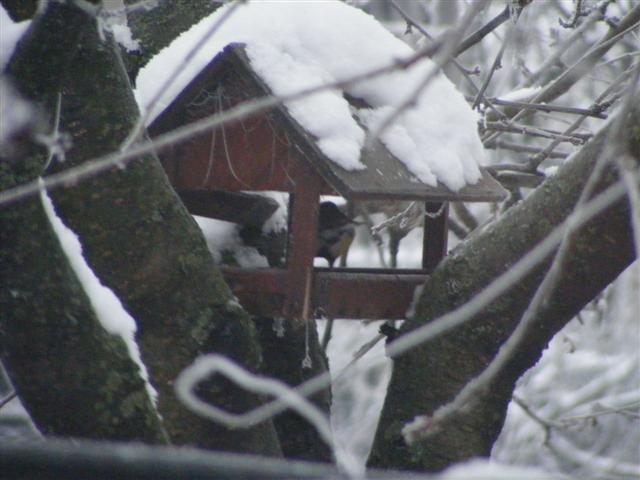 DSCF8407 (Small).JPG