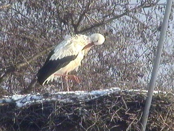 2009-12-19_130318.jpg