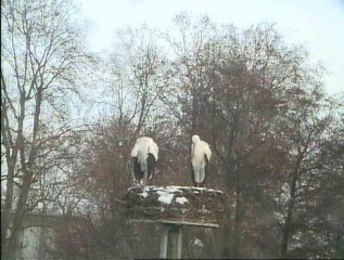 2009-12-21_103934.jpg