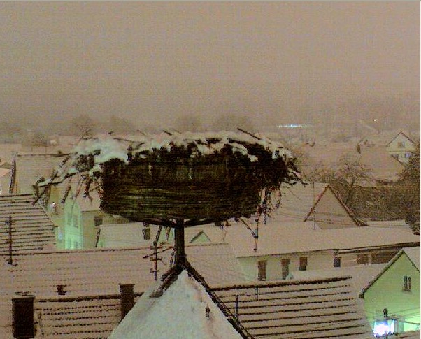 2009-12-22_071156.jpg