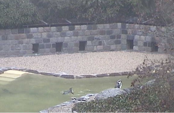 2009-12-22_103443.jpg