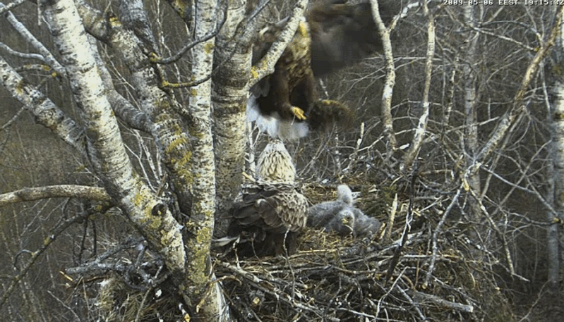 2009-05-06_205719.gif