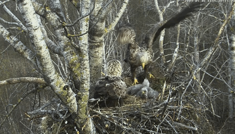 2009-05-06_205753.gif