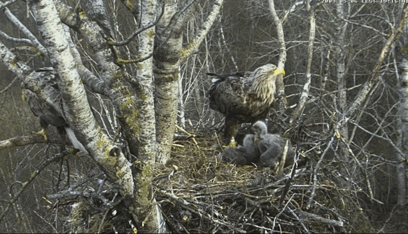 2009-05-06_210324.gif