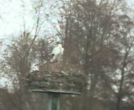 2009-12-27_163034.jpg