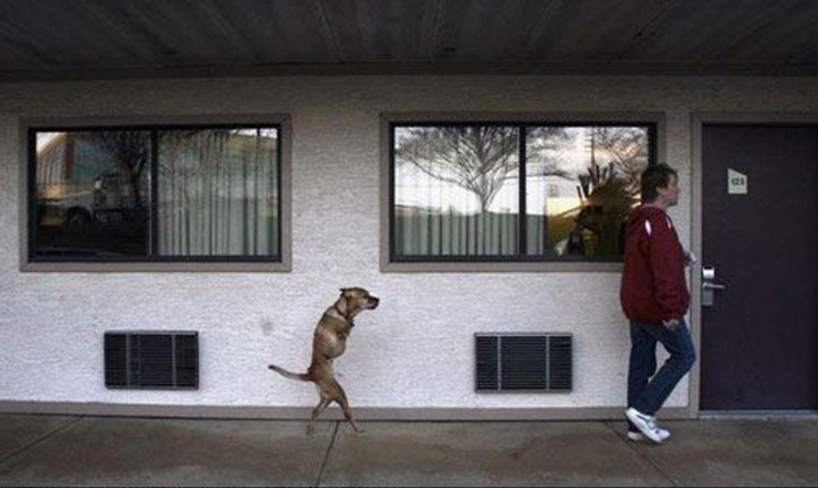 2009-12-29_224343.png