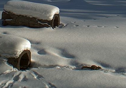 2010-01-02_203304.jpg