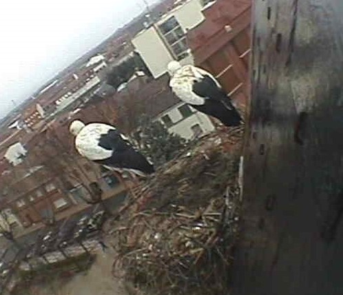 2010-01-07_093026.jpg