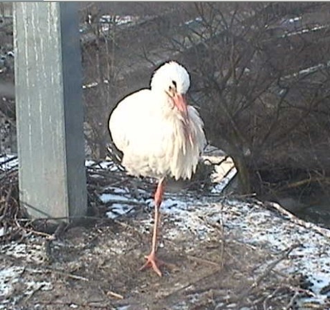 2010-01-07_142503.jpg