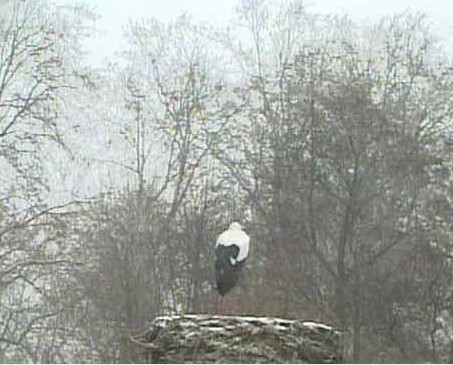 2010-01-07_143013.jpg