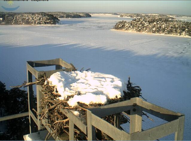 2010-01-08_111637.jpg