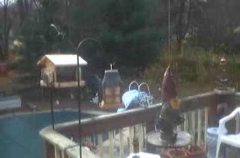2010-01-08_123544.jpg
