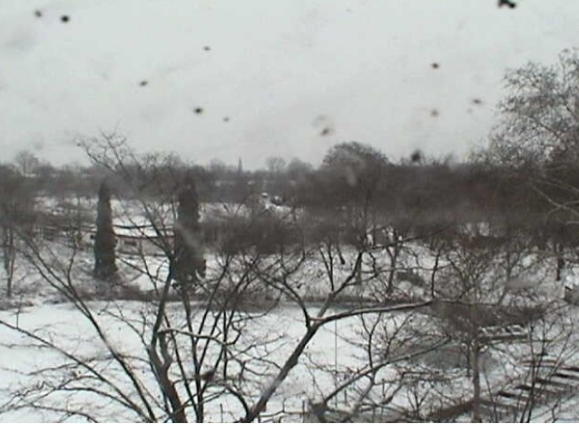 2010-01-10_115246.jpg