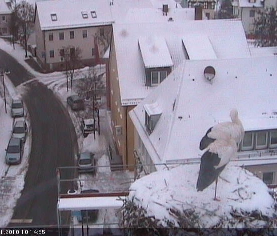 2010-01-10_115329.jpg