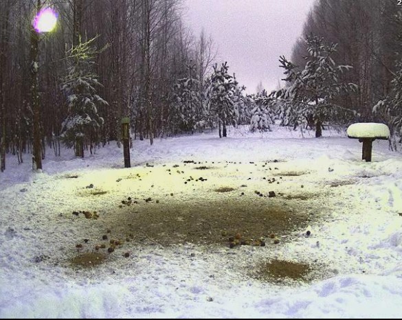 2010-01-10_150646.jpg