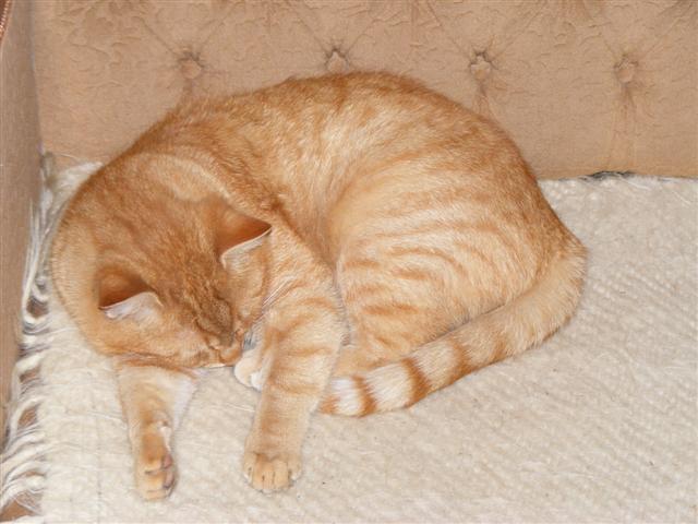 DSCF8534 (Small).JPG