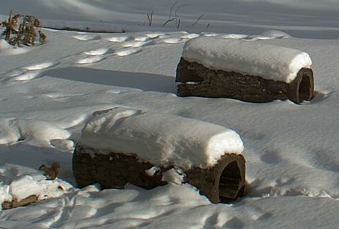 2010-01-12_213438.jpg
