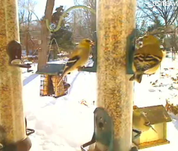 2010-01-10_183158.jpg