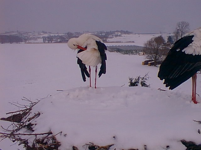 2010-01-13_081208.jpg