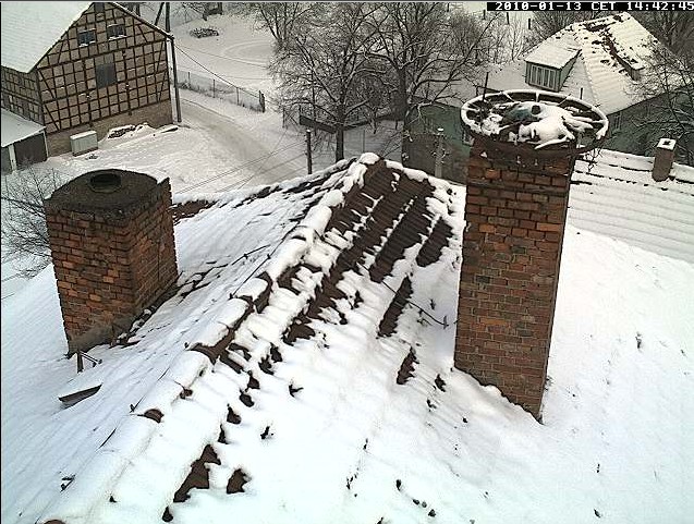 2010-01-13_144220.jpg