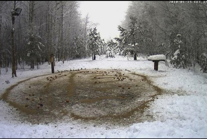 2010-01-15_182126.jpg