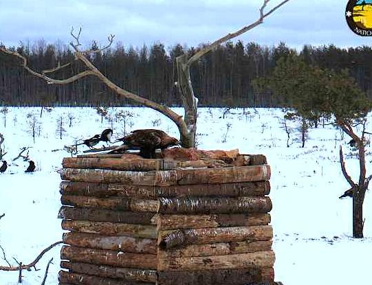2010-01-17_083837.jpg