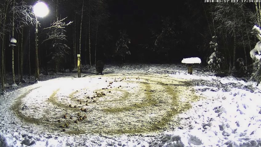 2010-01-17_163434.jpg