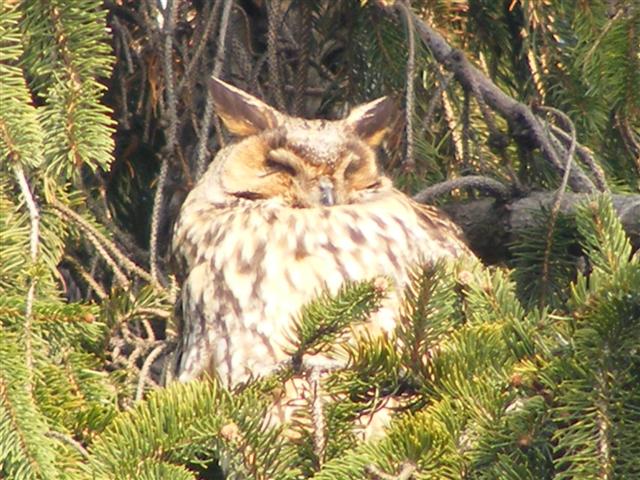 DSCF8543 (Small).JPG