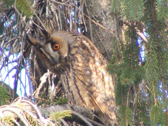 DSCF8547 (Small).JPG
