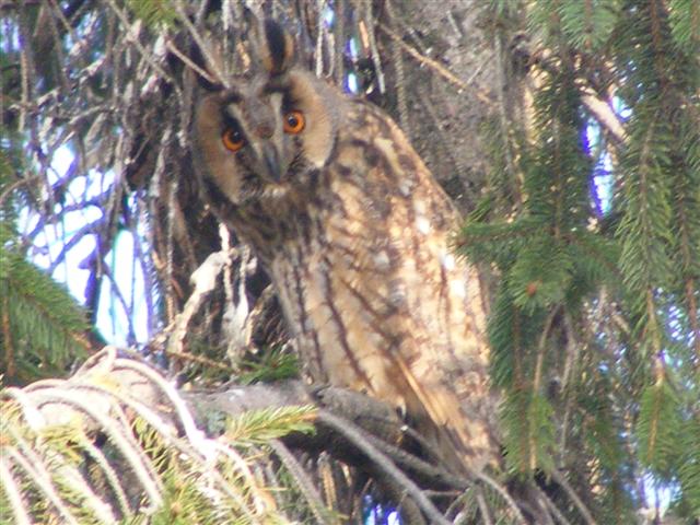 DSCF8548 (Small).JPG